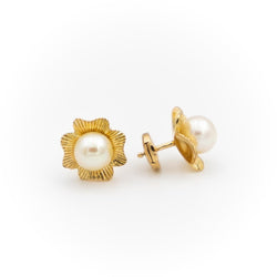 Boucles d'oreilles Puces Or jaune Perle - Castafiore
