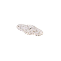 Broche en or gris et diamants - Castafiore