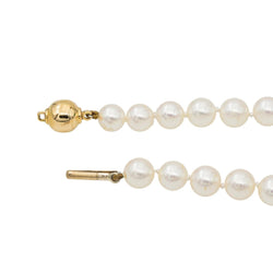 Collier Or jaune Perle - Castafiore