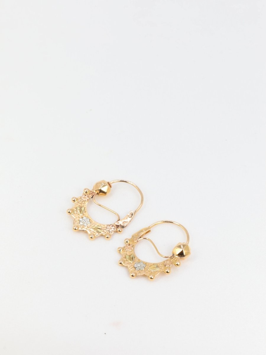 Paire de créoles savoyardes anciennes ou Tarines en or jaune - Castafiore