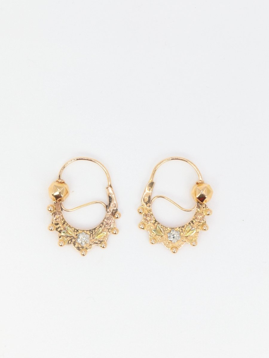 Paire de créoles savoyardes anciennes ou Tarines en or jaune - Castafiore