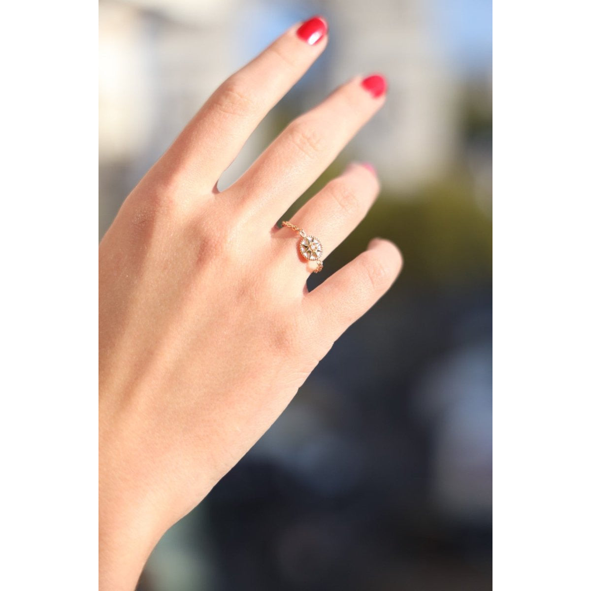 Rose des vents Bague Chaîne Or jaune Diamant - Castafiore